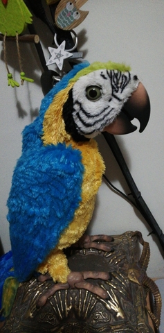 loro molon precio