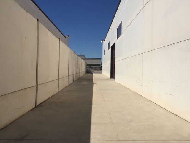 MIL ANUNCIOS.COM - PI Monte Boyal en Casarrubios del Monte