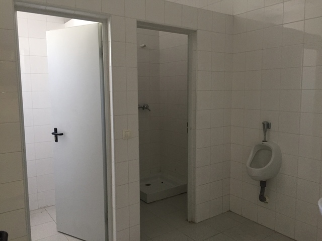 MIL ANUNCIOS.COM - PI Monte Boyal en Casarrubios del Monte