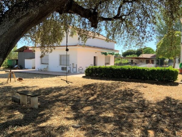 MIL ANUNCIOS.COM - Dehesilla de calamon Dehesilla de Calamon en Badajoz