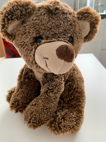 peluche teddy