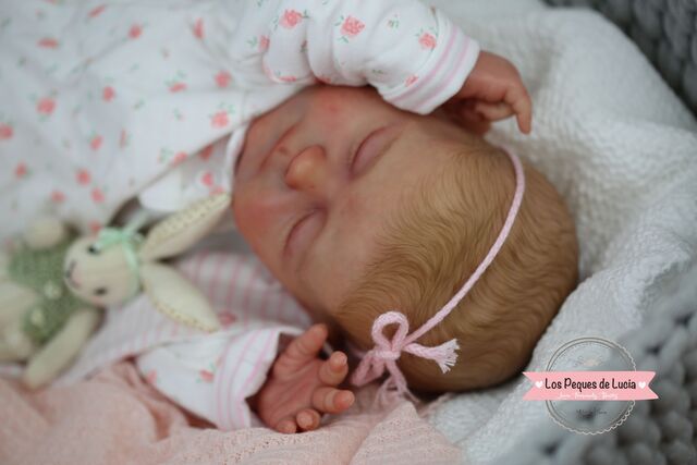 los peques de lucia bebes reborn