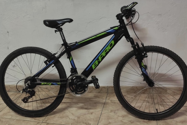 b pro mountain bike