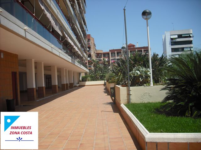 MIL ANUNCIOS.COM - La Pobla de Farnals en La Pobla de Farnals