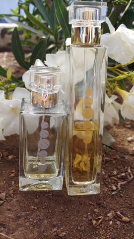 perfumes baratos en peñiscola perfumes baratos en peñiscola
