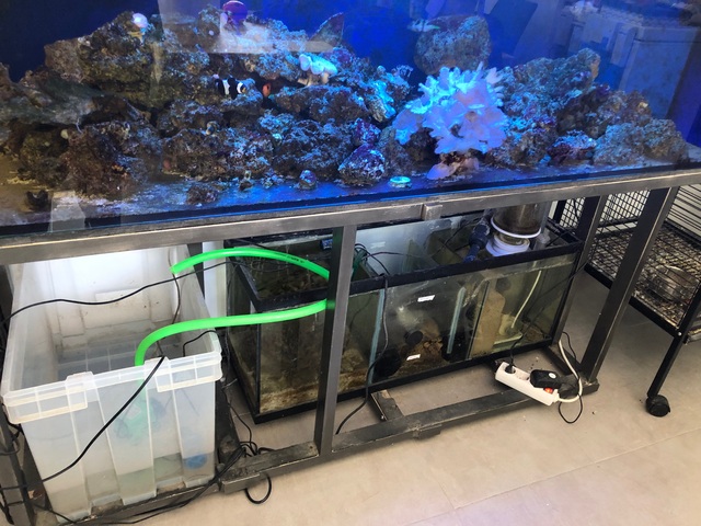 Mil Anuncios Com Acuario Marino