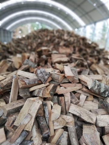 MIL ANUNCIOS.COM - Leña seca roble encina o haya