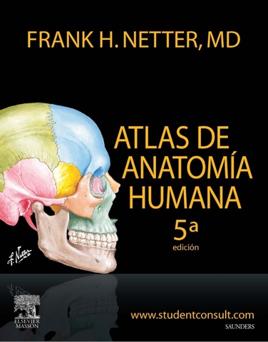 Featured image of post Atlas De Anatomia Humana Netter Para Colorear Pdf El t tulo hansen netter s anatomy coloring book toda la iconograf a recogida en el t tulo proviene de netter atlas of human anatomy 6th ed se especifican concretamente las plates