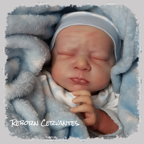 bebes reborn jugueteria nikki