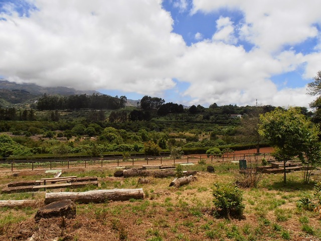 MIL ANUNCIOS.COM - Casa con terreno y árboles frutales en Valleseco