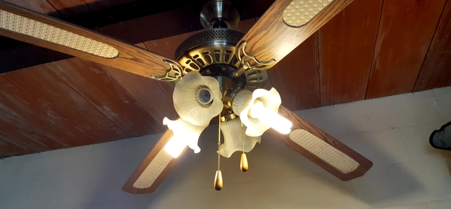 MIL ANUNCIOS.COM Lampara ventilador techo Segunda mano y Ventiladores de Techo segunda mano en la provincia de Cádiz