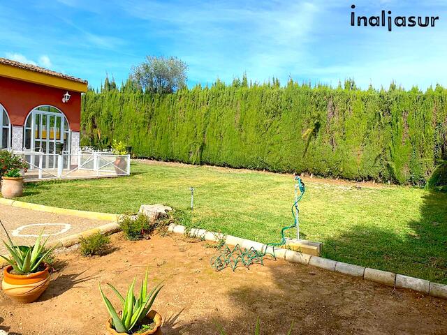 MIL ANUNCIOS.COM - Venta chalet independiente MAIRENA ALMENSILLA en