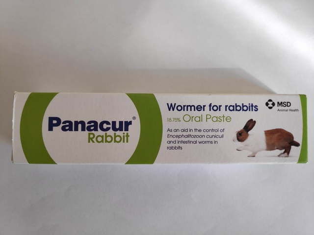 panacur rabbit