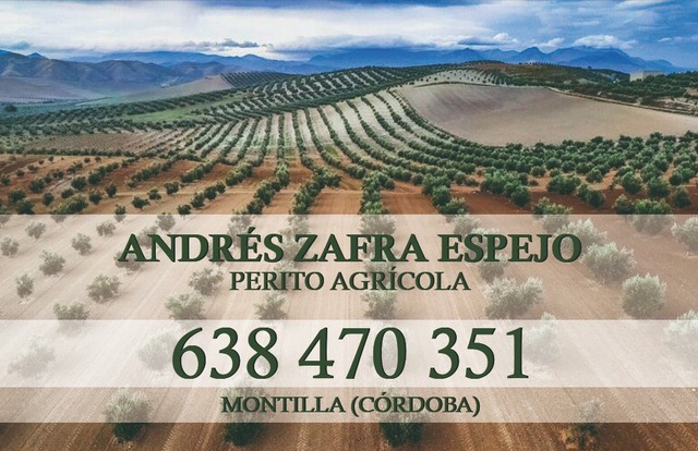 Mil Anuncios Com Maquinaria Agricola Ofertas De Empleo Maquinaria Agricola En Malaga Anuncios De Ofertas De Trabajo Maquinaria Agricola En Malaga