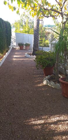 MIL ANUNCIOS.COM - En crevillente a 8km de elche SAN ANTONIO FL. en Matola