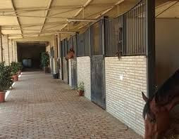 Mil Anuncios Com 350 000 M2 Espectacular Finca Hipica Mil Anuncios Com 350 000 M2 Espectacular Finca Hipica