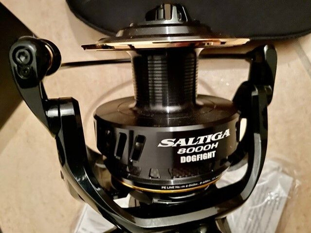 daiwa saltiga 8000 dogfight