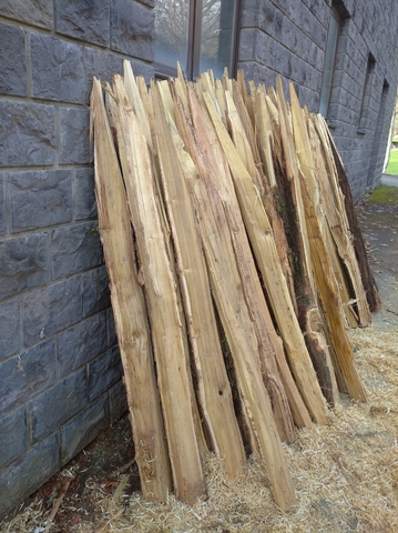 MIL ANUNCIOS.COM - Estacas de acacia 2 euros unidad