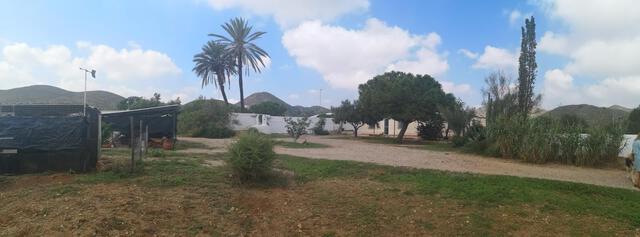 MIL ANUNCIOS.COM - Perín en Cartagena