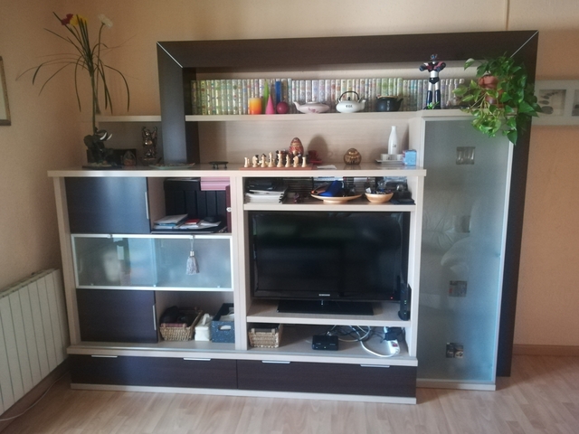 MIL ANUNCIOS.COM - Mueble del salon