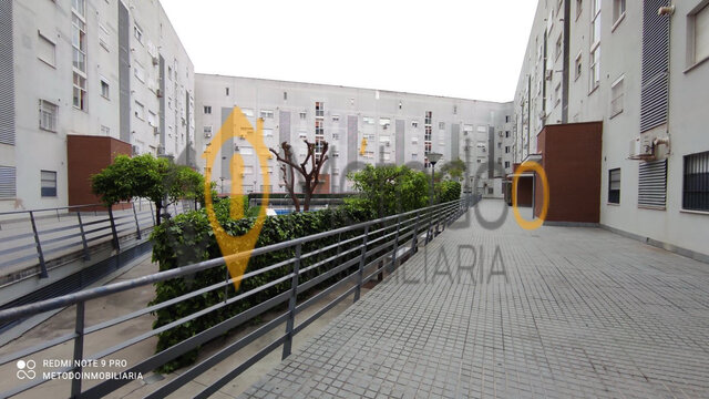 CERRO - AMATE