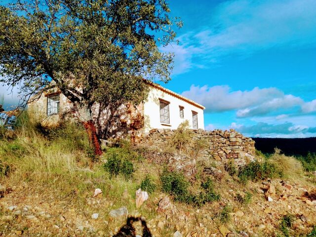 MIL Casa de campo en Hinojosa del Duque