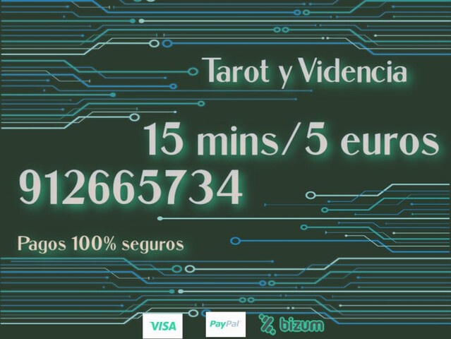 MESTROS DEL TAROT ECONÓMICOS, BIZUM