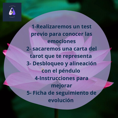 ALINEACIóN Y DESBLOQUEO DE CHAKRAS