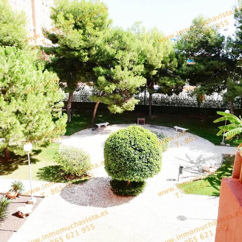 AVENIDA JARALES DE LOS 2
