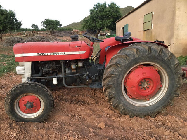 Milanuncios Tractores Massey Ferguson 135 De Segunda Mano Y Ocasion En Murcia