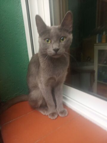MIL ANUNCIOS.COM - Regalo a persona que lo cuide Segunda mano y