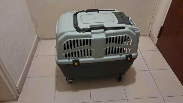 Milanuncios Transportadora de perro