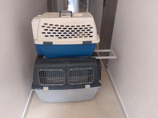 Milanuncios Transportines para perro