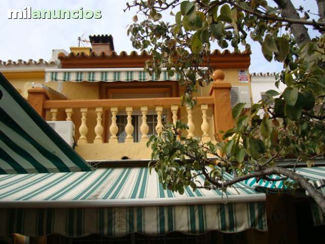 MIL ANUNCIOS.COM - El tomillar RUTA MOSCATEL en Torre del Mar