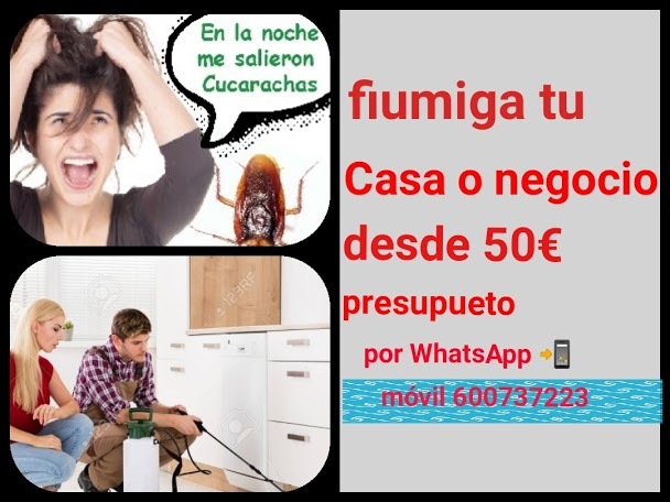 FUMIGACIóN DE CUARACHAS