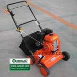 MIL ANUNCIOS.COM - Aireador cesped. Compra-Venta de artículos de