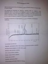 METEORITO CON CERTIFICADO