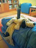 SOPORTE PERRO PARA MANDO A DISTANCIA