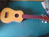 Ukelele - foto
