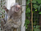 Pagina conocer gente de coín Pagina conocer gente de coín
