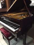 AFINADORA DE PIANOS EN BURGOS