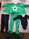 DISFRAZ FLOR TALLA 3 A 4 AñOS
