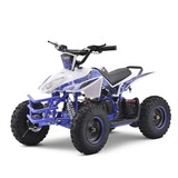 MINIQUAD ELECTRICA 800W