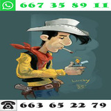 3668 KAVXZ PERFESTO PA LIAR 4270 QVJZF