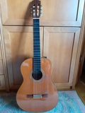 GUITARRA ALHAMBRA 6P
