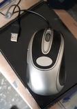 RATON MOUSE