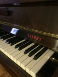 PIANO PARED CHERNY 1985