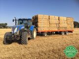 RINOAGRO REMOLQUE PLATAFORMA AGRICOLA PA