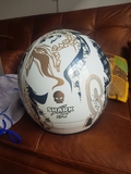 CASCO SHARK