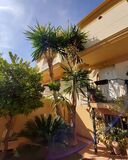 MANTENIMIENTOS DE JARDINES EN MALAGA